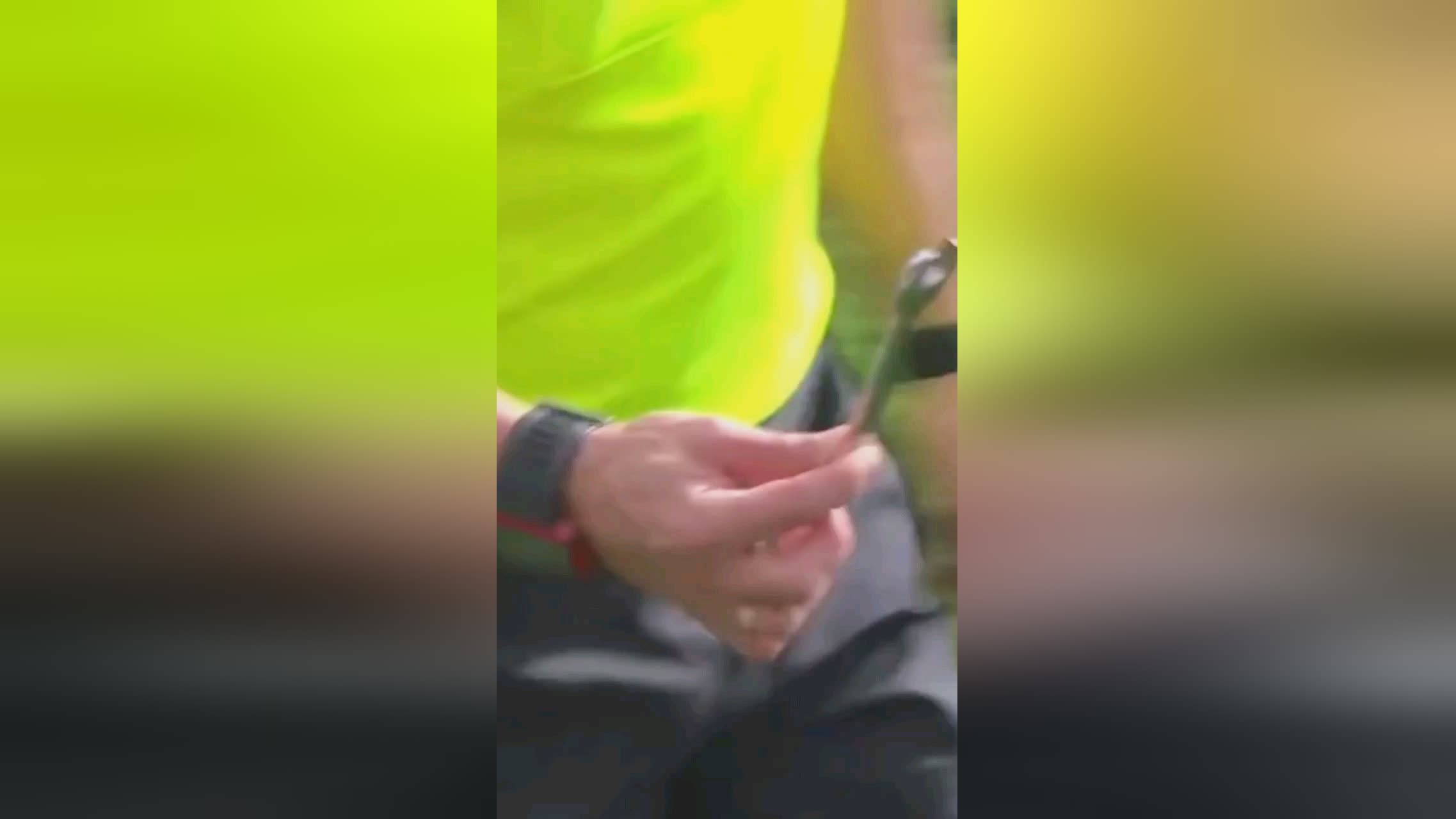 赛的期